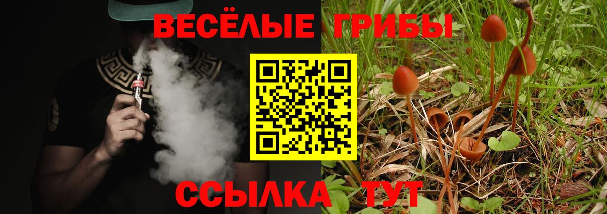 Новороссийск  Псилоцибиновые грибы ЛСД  Вход с VPN 